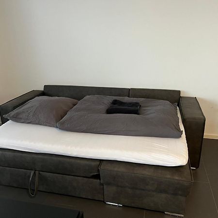 Luxuswohnung Direkt Am Phoenixsee Dortmund Ngoại thất bức ảnh